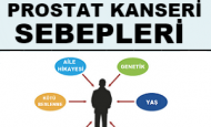 Prostat Kanseri Sebepleri Nelerdir?