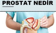 Prostat Nedir? Özellikleri ve Görevleri Nelerdir?