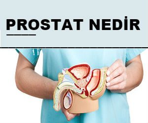 Prostat Nedir? Özellikleri ve Görevleri Nelerdir?