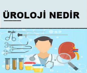 Üroloji Nedir?