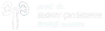 Üroloji Uzmanı | Prof. Dr. Mesut Çetinkaya
