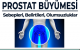 PROSTAT BÜYÜMESİNİN SEBEPLERİ, BELİRTİLERİ VE YARATABİLECEĞİ OLUMSUZLUKLAR