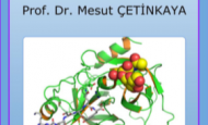 ”Prostat Adenokanseri” Adlı E-Kitap Yayında