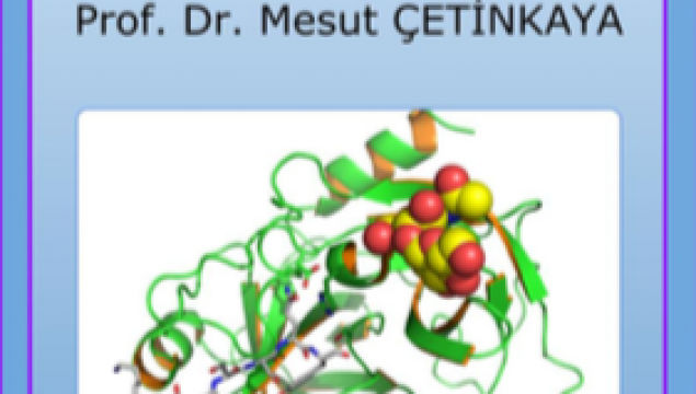 ”Prostat Adenokanseri” Adlı E-Kitap Yayında